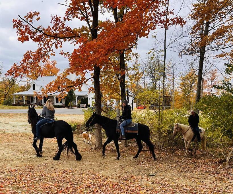 Beautiful Equestrian Estate Home W/ Hot Tub! Loveland Exterior foto